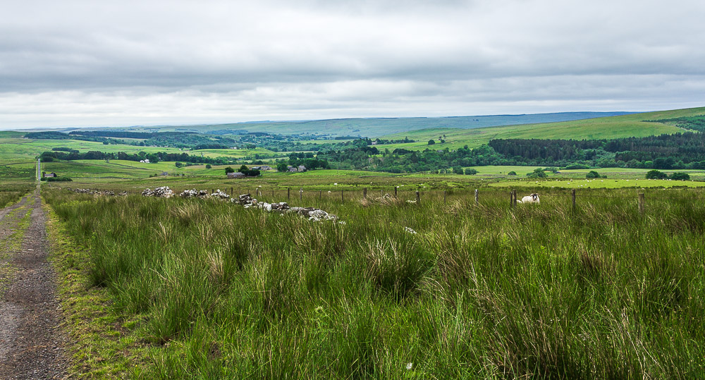 Thorneyburn Fell Thorneyburn Fell